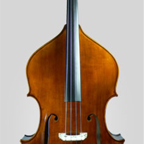 Resonance Violins CSC Producks 3/4 Bass, Shen , Hybrid