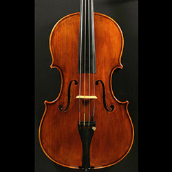 Snow 200 Viola